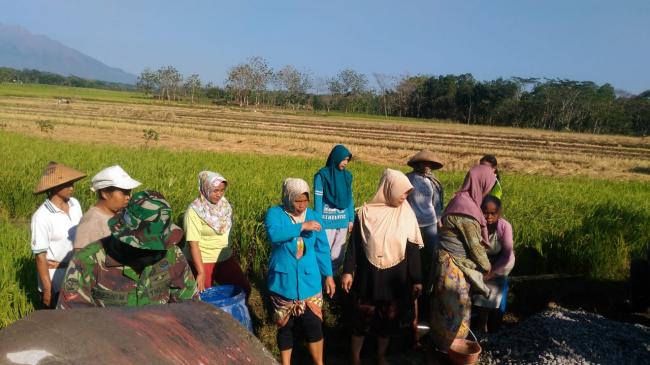 Tak Disangka Bidadari Turut  Membantu Pelaksanaan Program TMMD